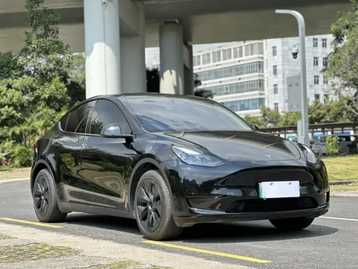 Model Y 2023 Model Rear-wheel drive version – фото 3