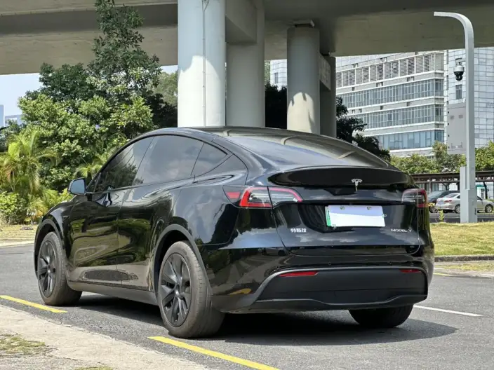 Model Y 2023 Model Rear-wheel drive version – фото 5