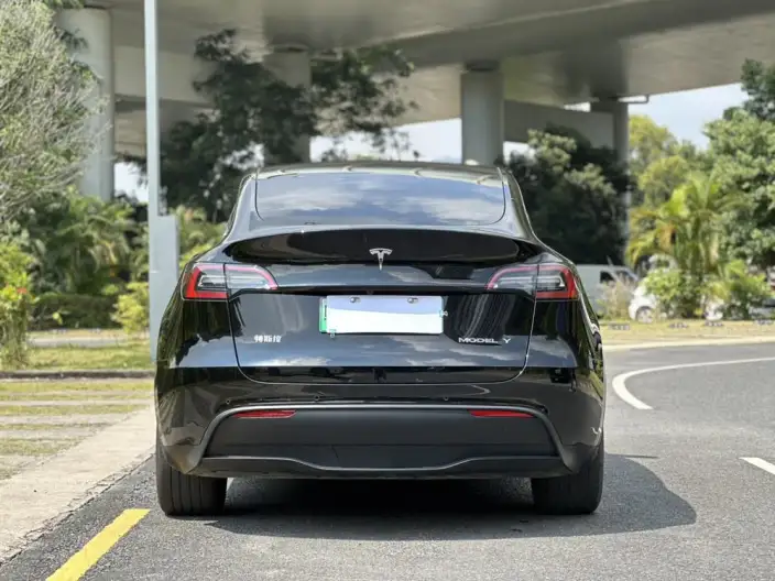 Model Y 2023 Model Rear-wheel drive version – фото 6