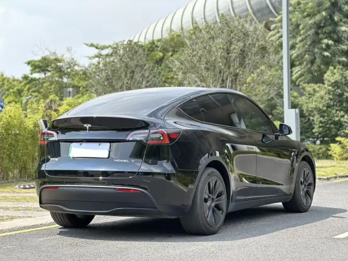 Model Y 2023 Model Rear-wheel drive version – фото 7