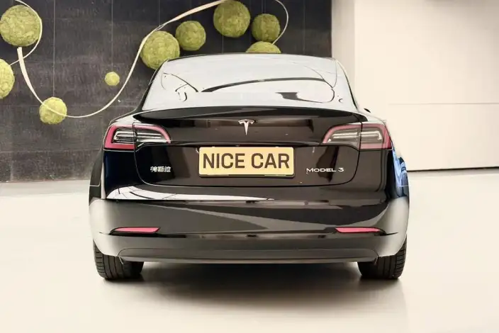 Model 3 2022 Model Rear-wheel drive version – фото 6