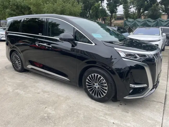 Denza D9 EV 2022 Model 600 4WD Flagship Model – фото 3