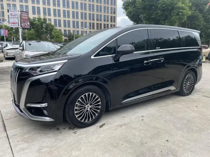 Denza D9 EV 2022 Model 600 4WD Flagship Model – фото 10