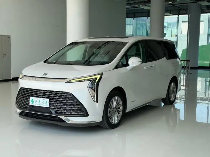 Century 2023 Model 2.0T VII seat Yunshi Edition – фото 1
