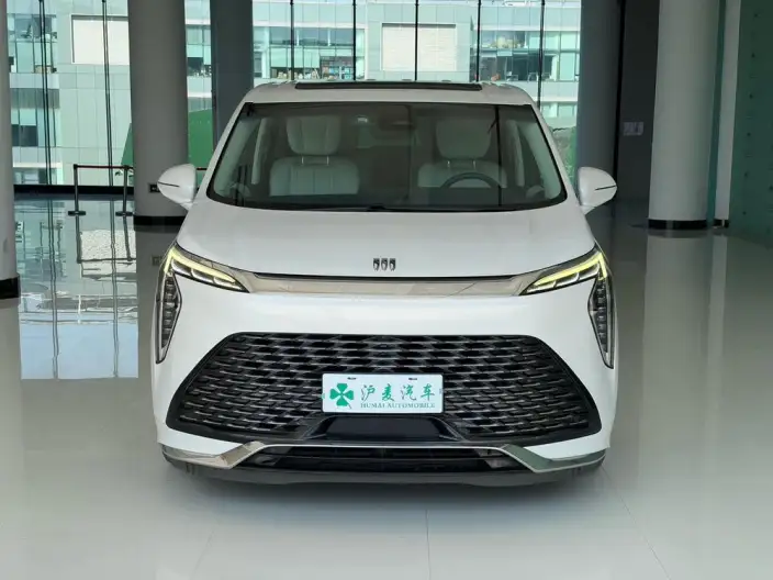 Century 2023 Model 2.0T VII seat Yunshi Edition – фото 2