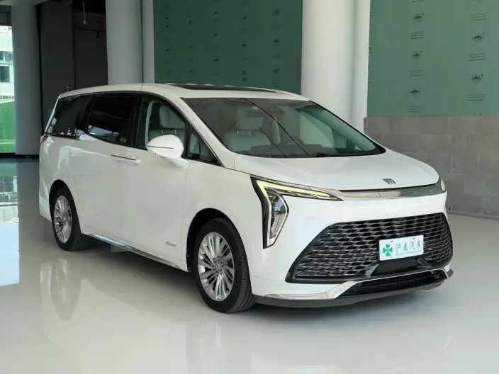 Century 2023 Model 2.0T VII seat Yunshi Edition – фото 3