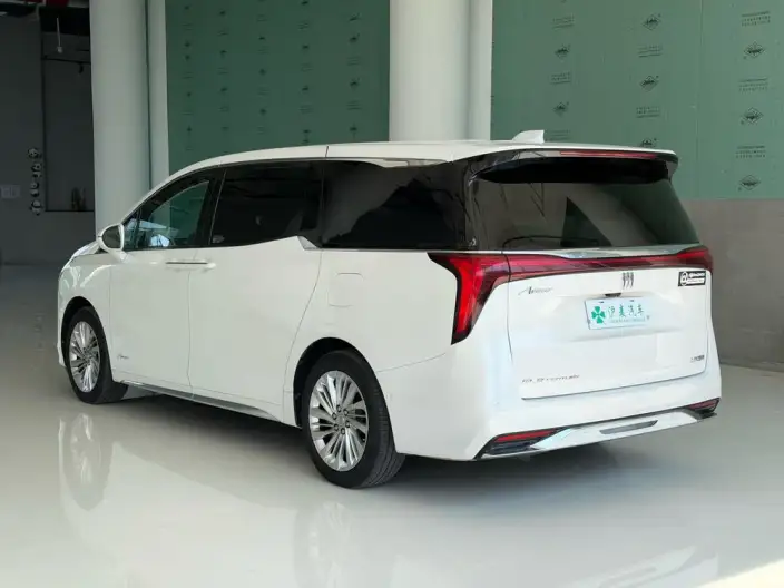 Century 2023 Model 2.0T VII seat Yunshi Edition – фото 4