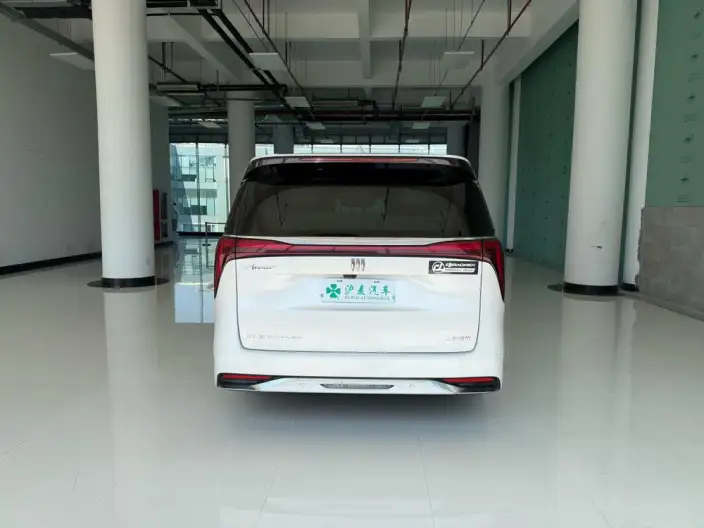 Century 2023 Model 2.0T VII seat Yunshi Edition – фото 5