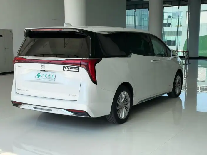 Century 2023 Model 2.0T VII seat Yunshi Edition – фото 6