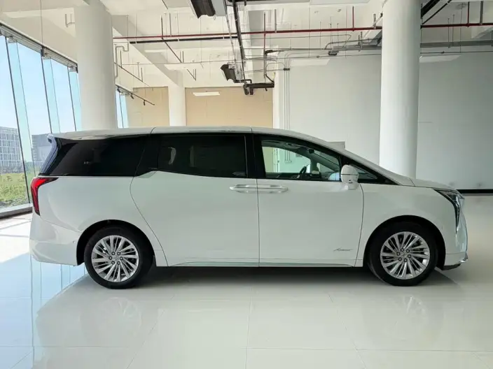 Century 2023 Model 2.0T VII seat Yunshi Edition – фото 7