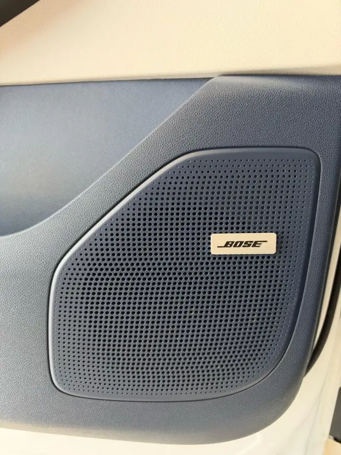 Century 2023 Model 2.0T VII seat Yunshi Edition – фото 9
