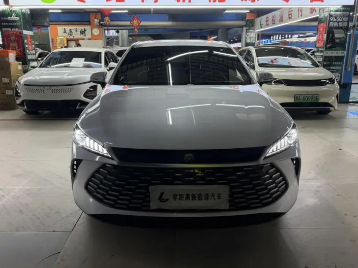 BYD Qin PLUS DM 2026 Model DM-i 210KM Enterprising Model – фото 2