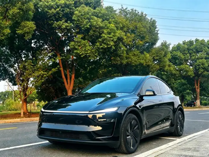 Model Y 2025 Model Rear-wheel drive version – фото 1