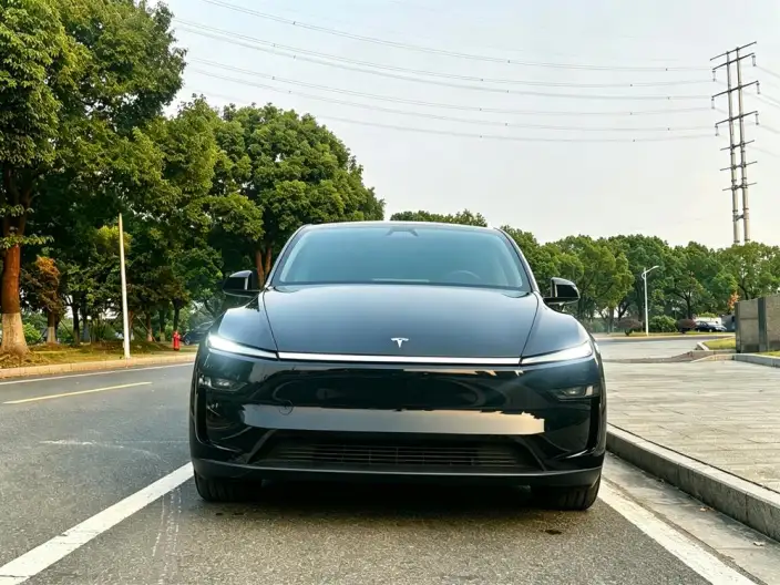 Model Y 2025 Model Rear-wheel drive version – фото 2