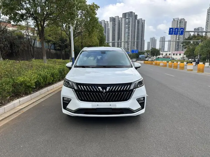 WULING Jiachen 2022 Model 1.5T CVT Smart Enjoy Luxury Model – фото 2