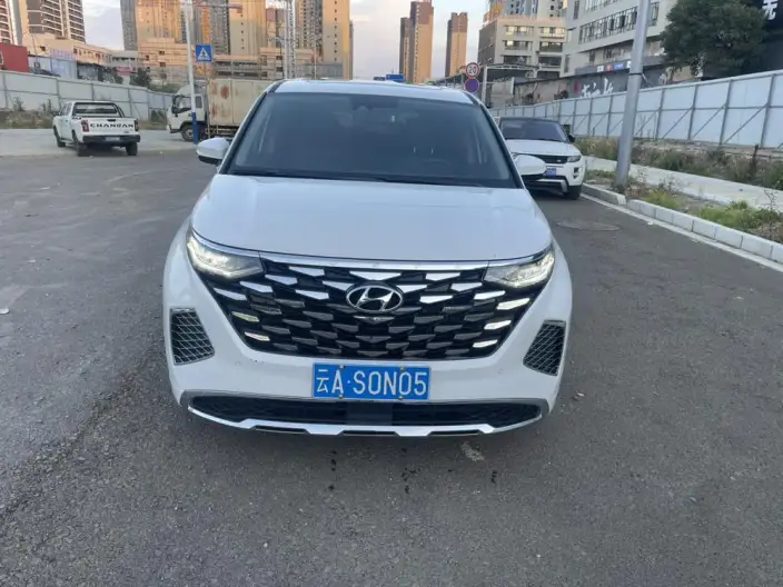 Hyundai Custin 2024 Model 270TGDi LUX Premium Edition – фото 2