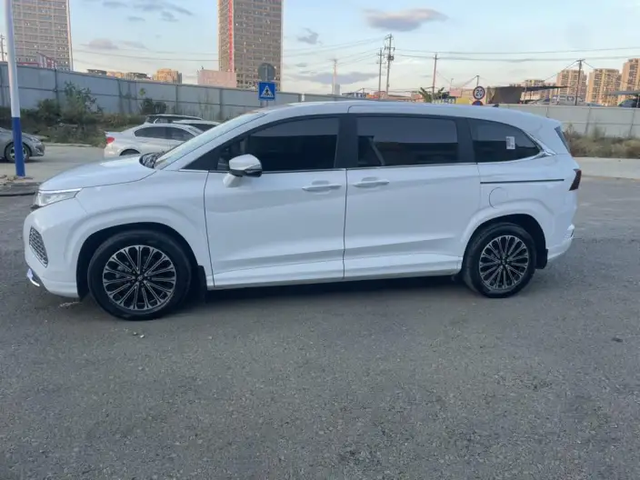 Hyundai Custin 2024 Model 270TGDi LUX Premium Edition – фото 4