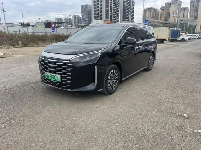 Xia 2025 Model DM-i 180KM Excellence Model – фото 1
