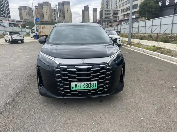 Xia 2025 Model DM-i 180KM Excellence Model – фото 2