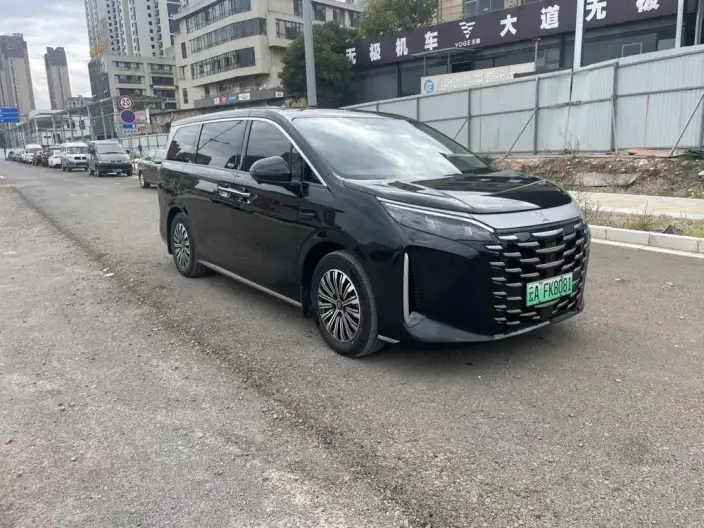 Xia 2025 Model DM-i 180KM Excellence Model – фото 3