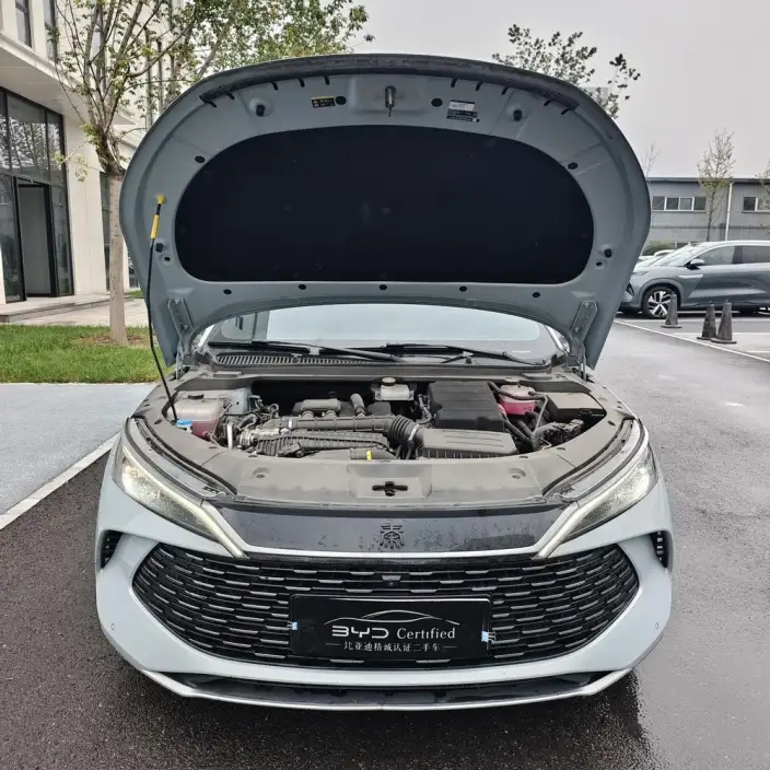 QinL DM 2024 Model DM-i 120KM Leading Model – фото 2