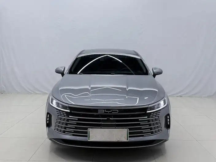 BYD Destroyer 05 2024 Model Honor Edition DM-i 55KM Luxury Model – фото 2