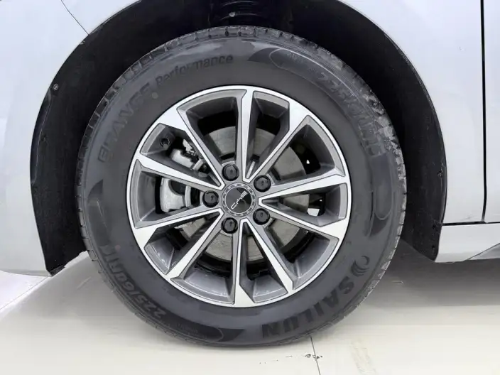 BYD Destroyer 05 2024 Model Honor Edition DM-i 55KM Luxury Model – фото 7
