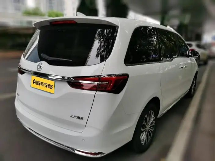 Buick GL8 2023 Model Business class 2.0T Luxury Model – фото 2