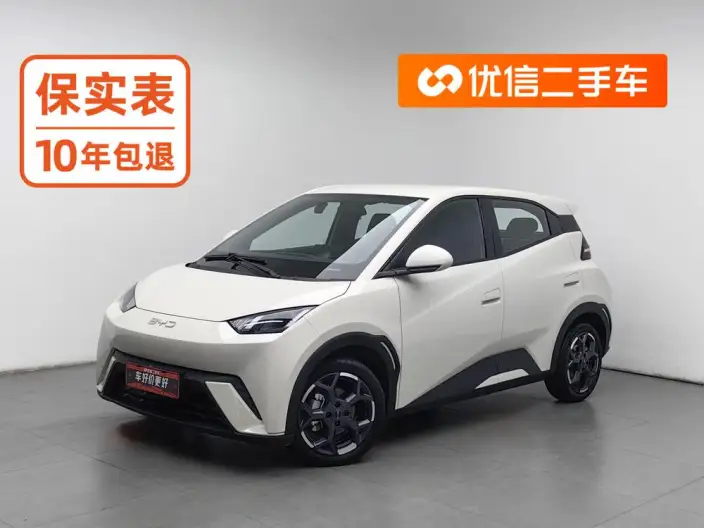 BYD Seagull 2025 Model 305KM Free Edition – фото 1