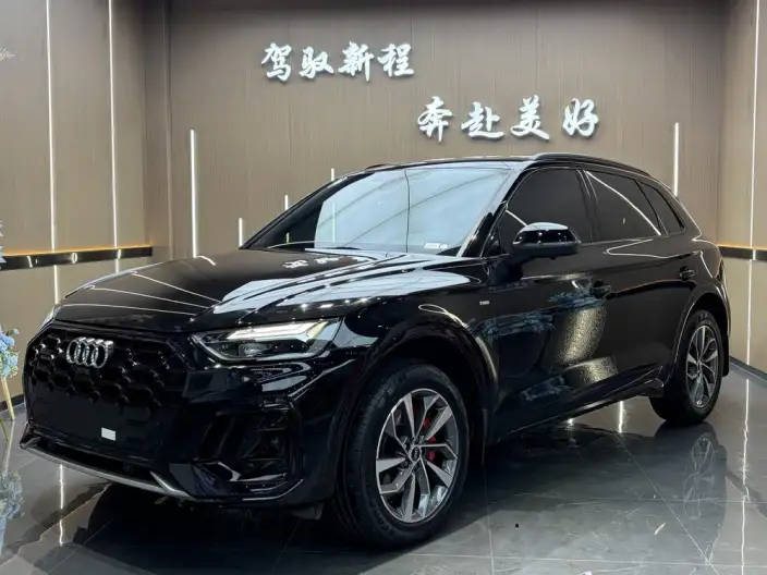Audi Q5L 2025 Model quattro 45th Anniversary Collector Edition Edition 40TFSI Luxury Dynamic Model – фото 10