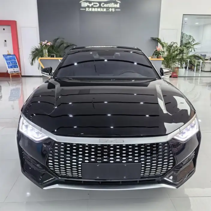 BYD E9 2022 Model Business Edition – фото 2