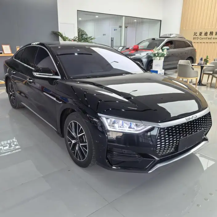 BYD E9 2022 Model Business Edition – фото 3