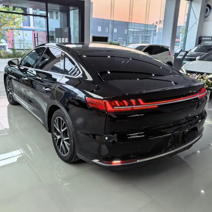 BYD E9 2022 Model Business Edition – фото 4