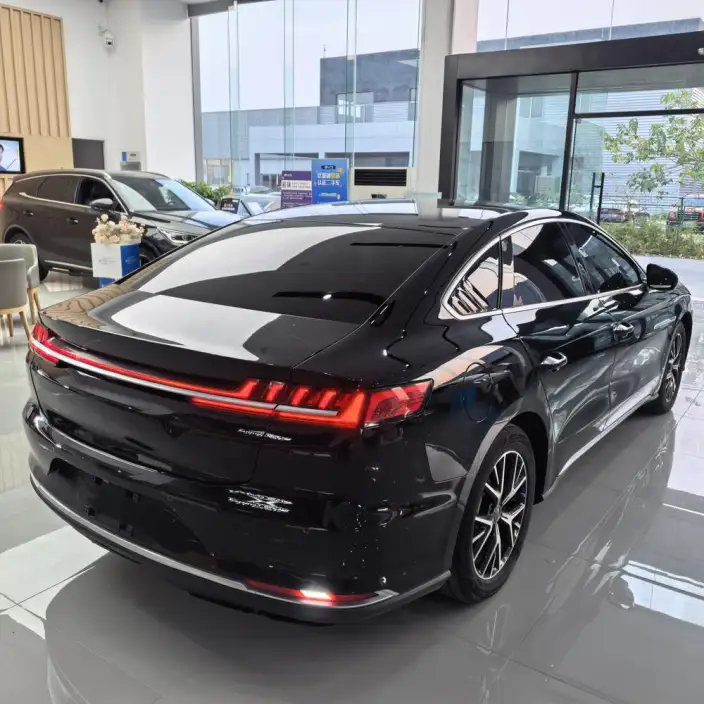 BYD E9 2022 Model Business Edition – фото 6