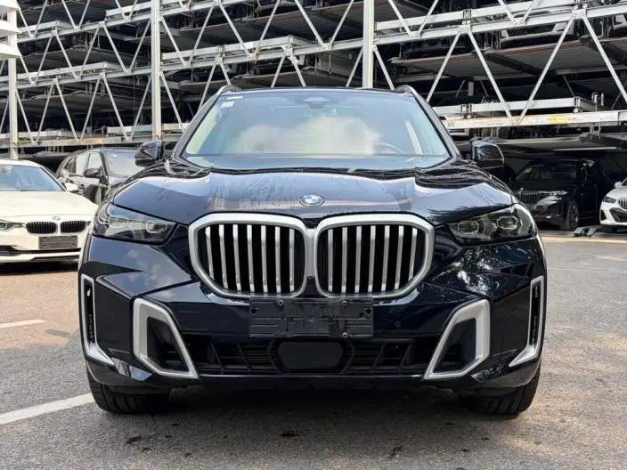 BMW X5 2023 Model xDrive30Li M Sports Set – фото 2