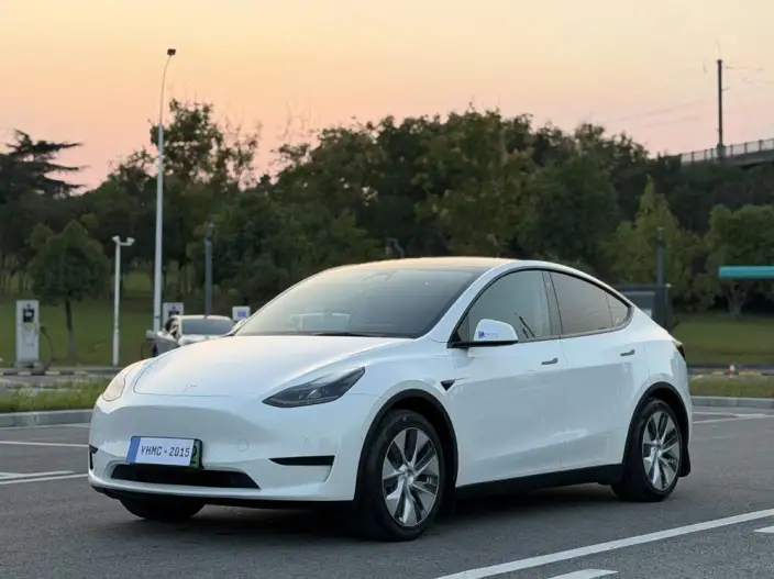 Model Y 2022 Model Rear-wheel drive version – фото 1