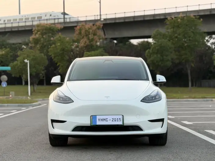 Model Y 2022 Model Rear-wheel drive version – фото 2