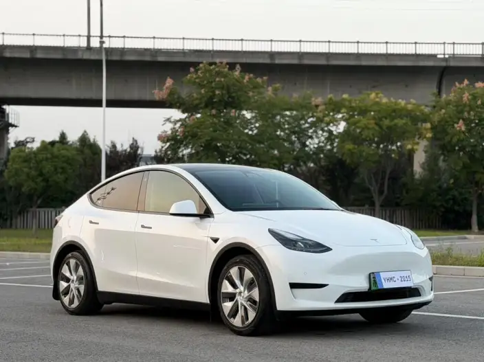 Model Y 2022 Model Rear-wheel drive version – фото 3