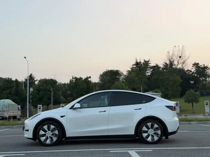 Model Y 2022 Model Rear-wheel drive version – фото 4