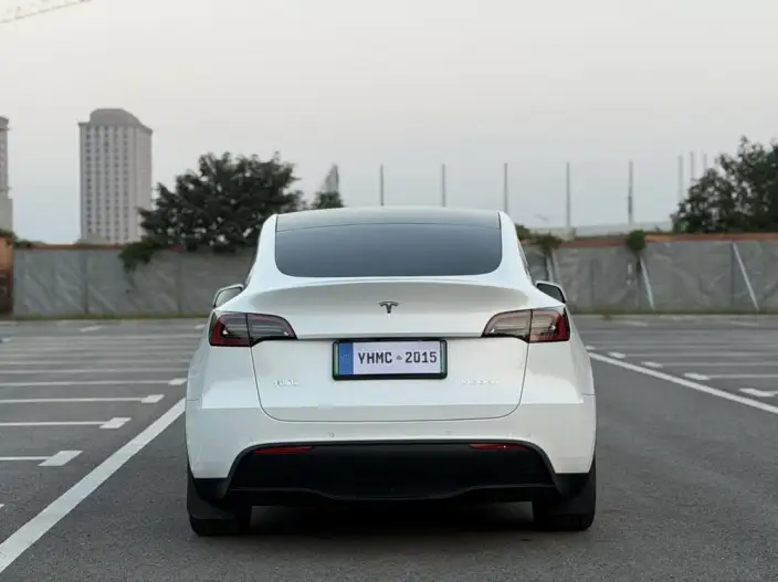Model Y 2022 Model Rear-wheel drive version – фото 6