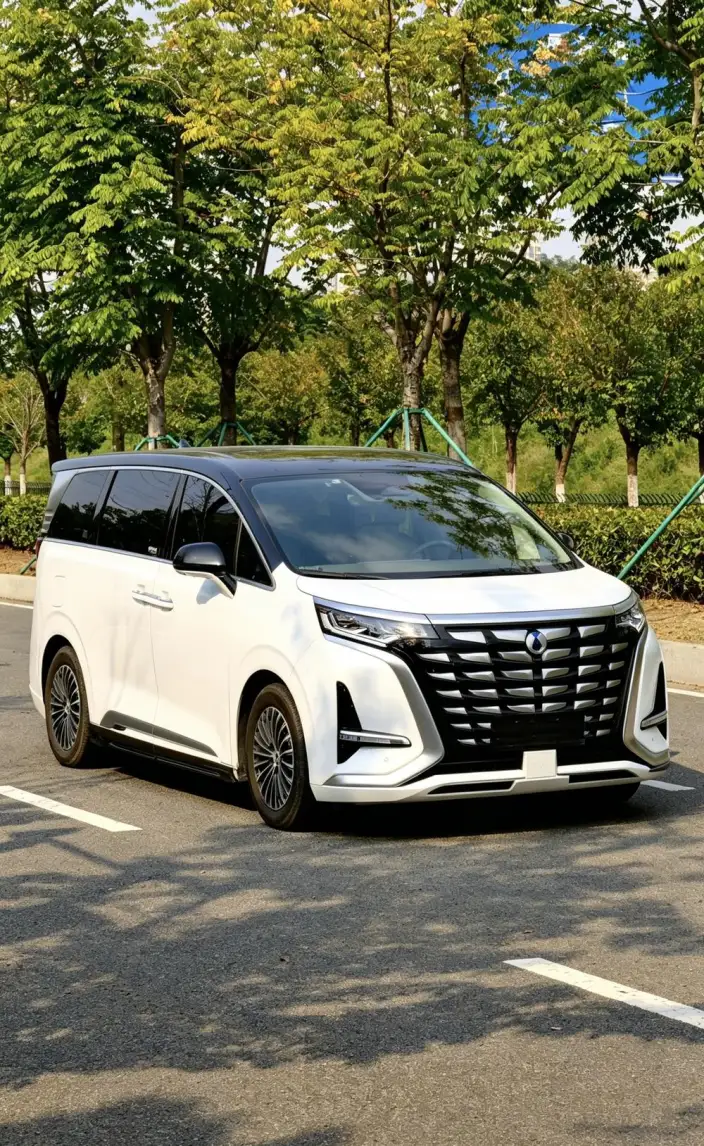DENZA D9 DM 2022 Model 970 4WD Zunrong Model – фото 3