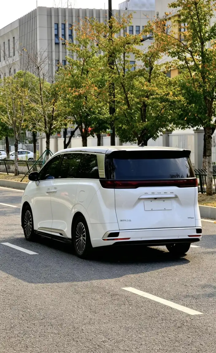 DENZA D9 DM 2022 Model 970 4WD Zunrong Model – фото 4
