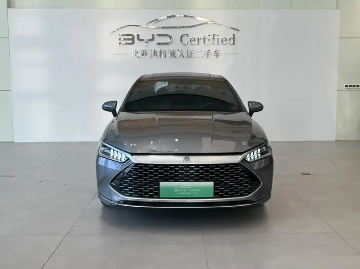 BYD Qin PLUS DM 2021 Model DM-i 55KM Flagship Model – фото 2