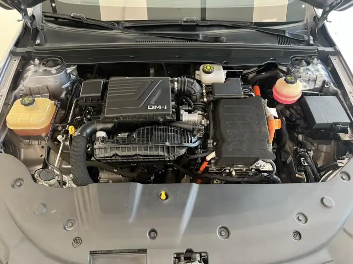 BYD Qin PLUS DM 2021 Model DM-i 55KM Flagship Model – фото 6