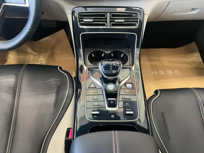 BYD Qin PLUS DM 2021 Model DM-i 55KM Flagship Model – фото 8