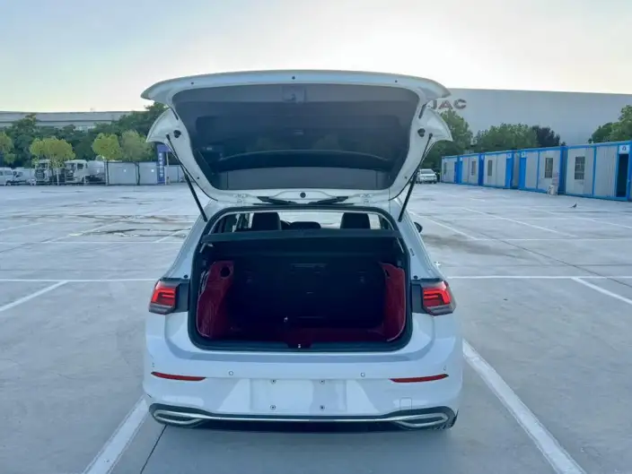 Volkswagen Golf 2021 Model 280TSI DSG 30th Anniversary Memorial Edition – фото 10