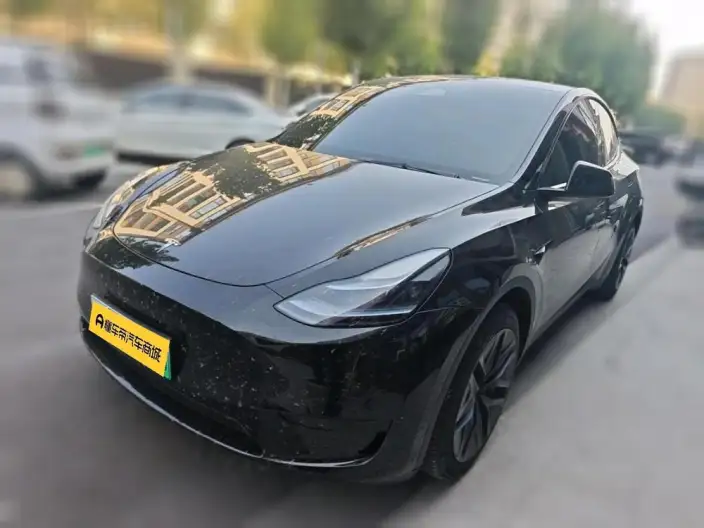 Model Y 2022 Model Facelift Rear-wheel drive version – фото 1