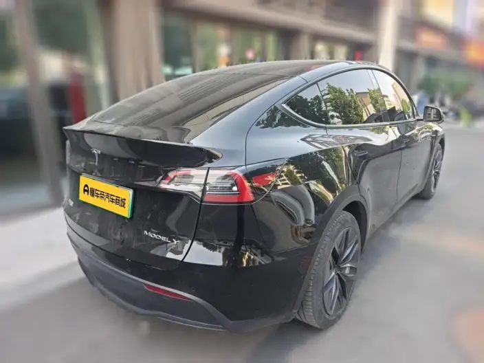 Model Y 2022 Model Facelift Rear-wheel drive version – фото 2