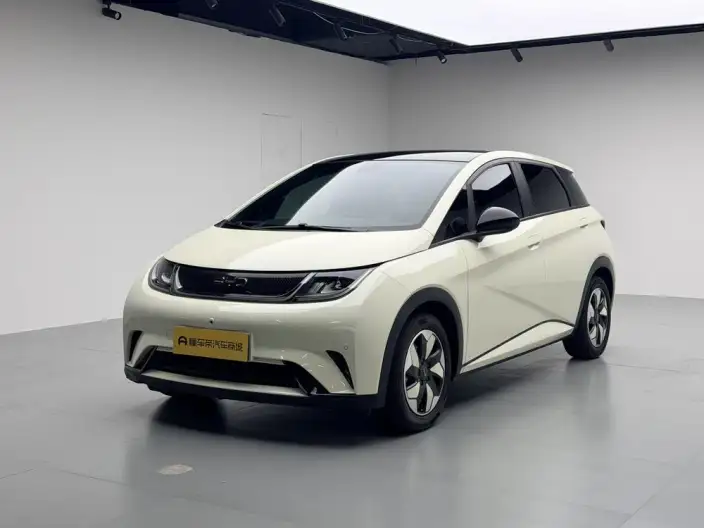 BYD Dolphin 2024 Model Honor Edition 420km Fashion Edition – фото 1