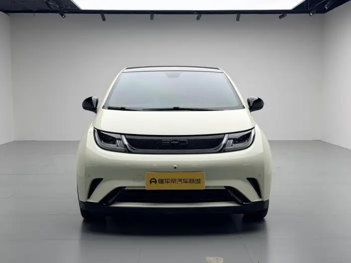 BYD Dolphin 2024 Model Honor Edition 420km Fashion Edition – фото 2